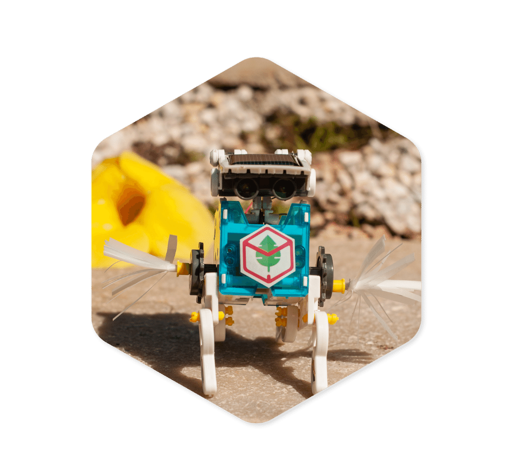 Fotos - Robô Solar